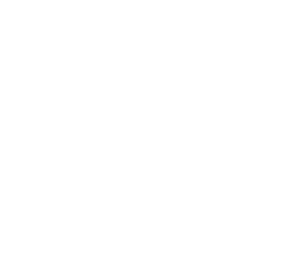 Certification Storybrand In Excelsis